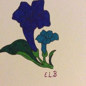 Meet your Posher, Edward